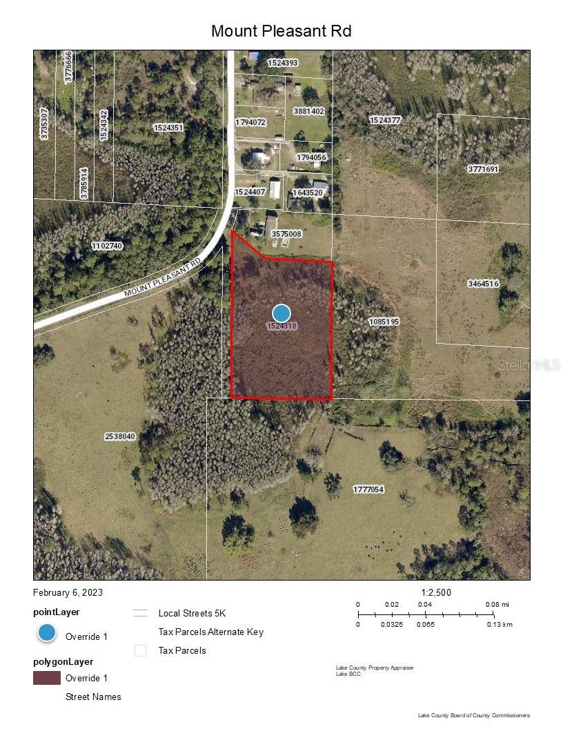 MOUNT PLEASANT RD, GROVELAND, FL, 34736