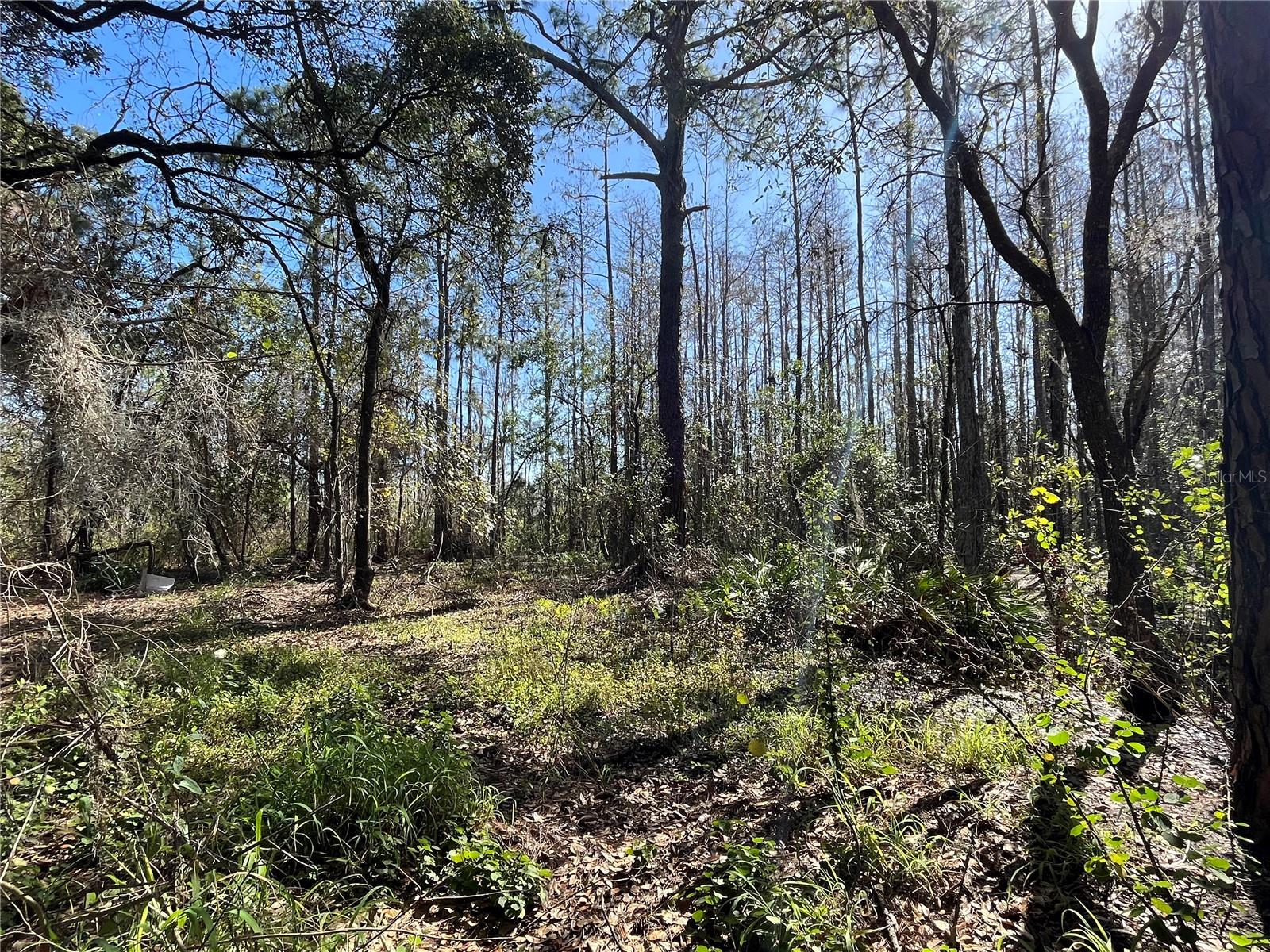 MOUNT PLEASANT RD, GROVELAND, FL, 34736