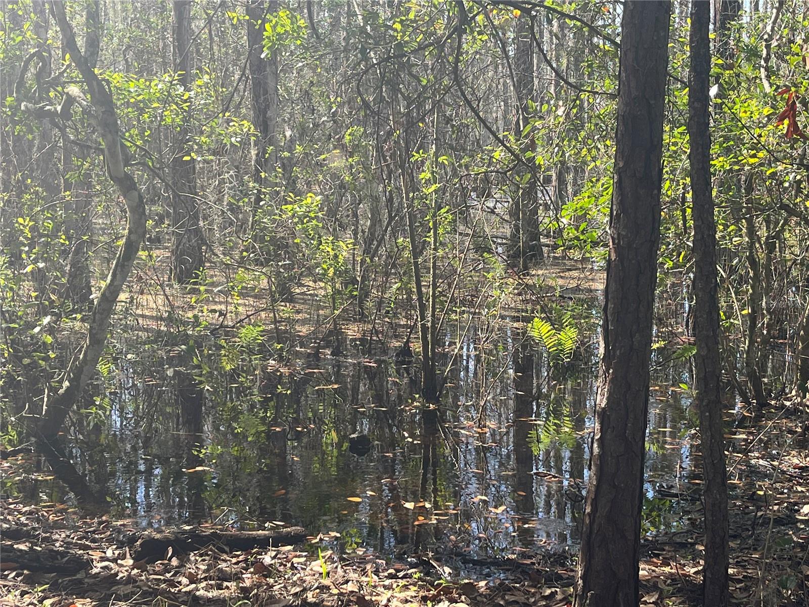 MOUNT PLEASANT RD, GROVELAND, FL, 34736