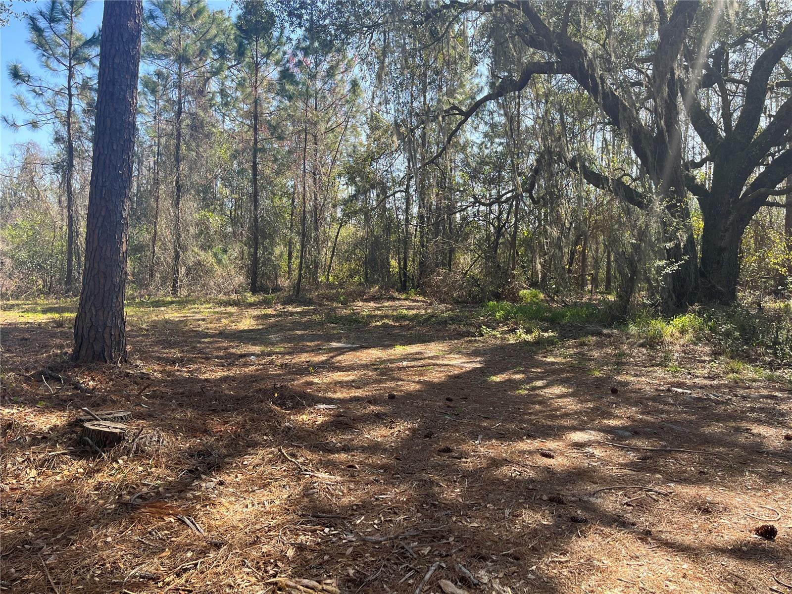 MOUNT PLEASANT RD, GROVELAND, FL, 34736