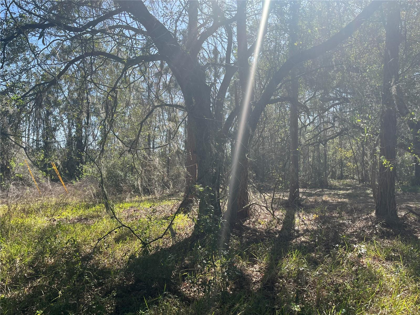 MOUNT PLEASANT RD, GROVELAND, FL, 34736