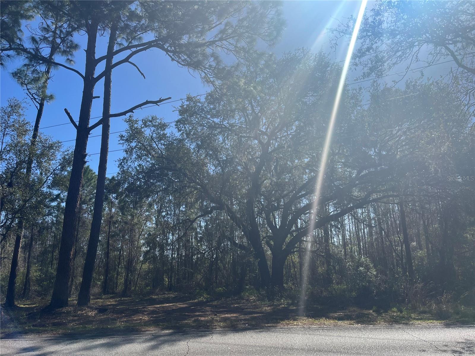 MOUNT PLEASANT RD, GROVELAND, FL, 34736