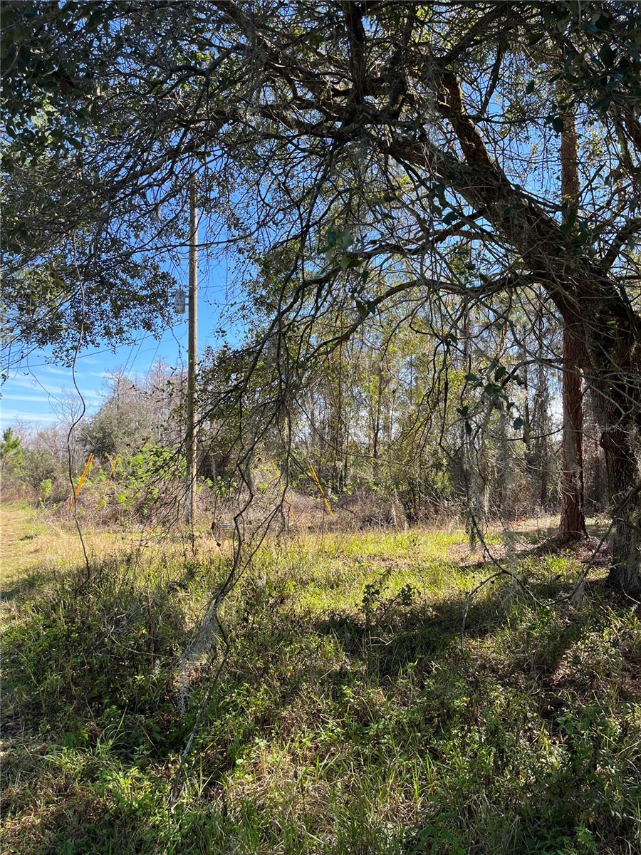 MOUNT PLEASANT RD, GROVELAND, FL, 34736