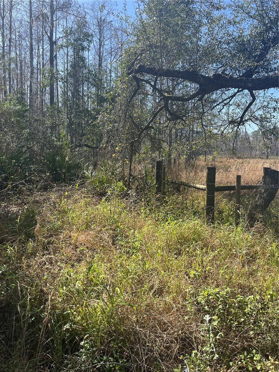 MOUNT PLEASANT RD, GROVELAND, FL, 34736