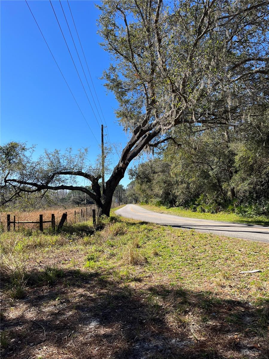 MOUNT PLEASANT RD, GROVELAND, FL, 34736