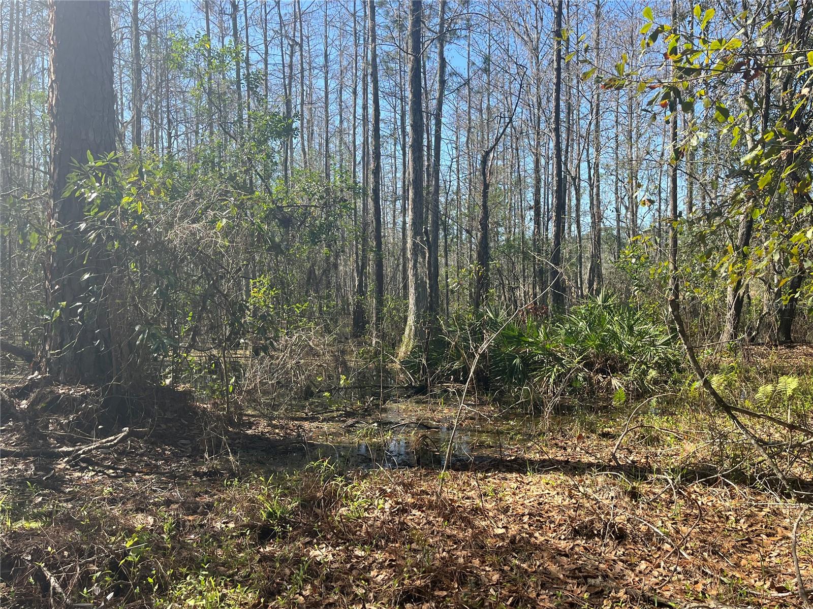 MOUNT PLEASANT RD, GROVELAND, FL, 34736
