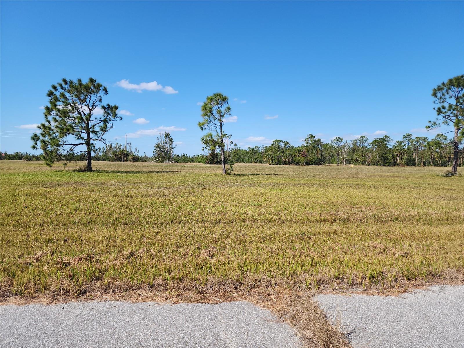 14108 TILEFISH CT, PLACIDA, FL, 33946
