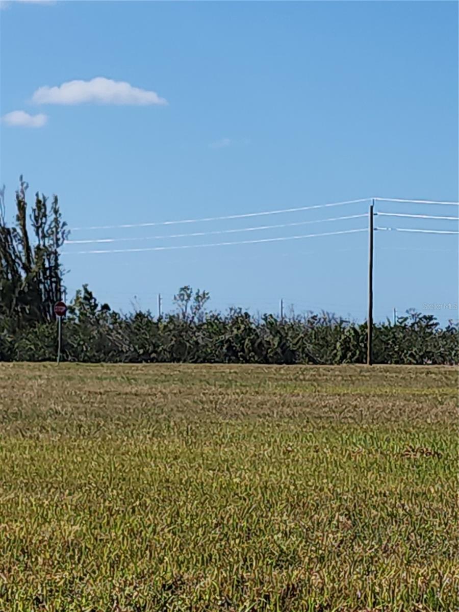 14108 TILEFISH CT, PLACIDA, FL, 33946