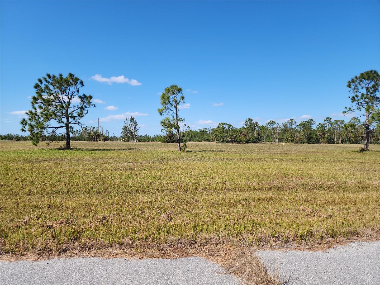 14108 TILEFISH CT, PLACIDA, FL, 33946