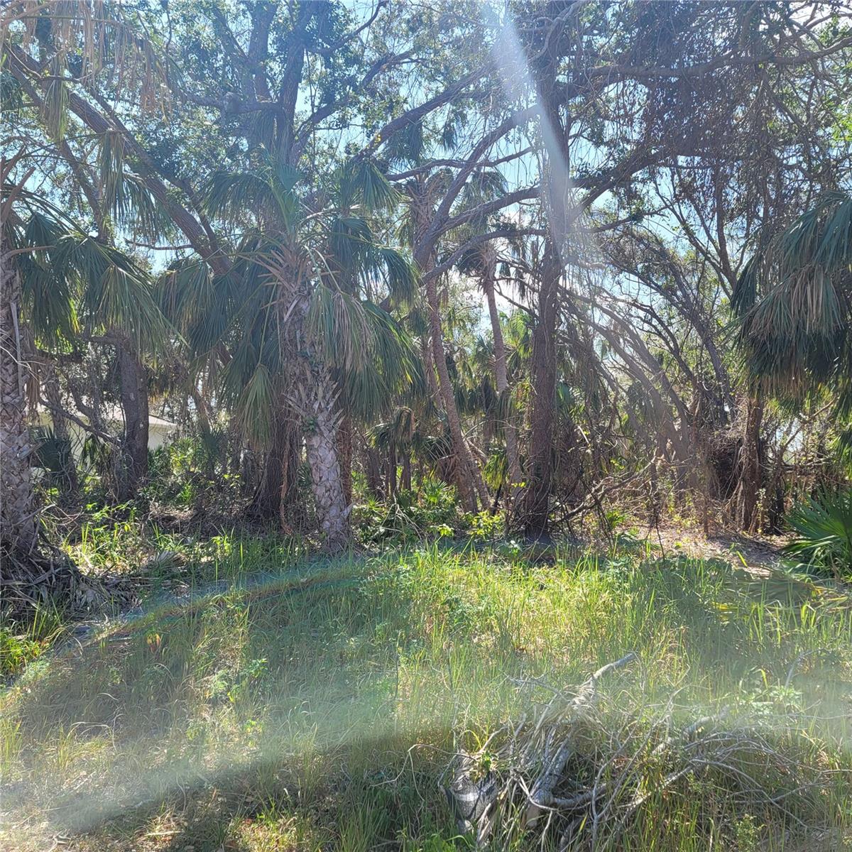 CARUSO LN, NORTH PORT, FL, 34287