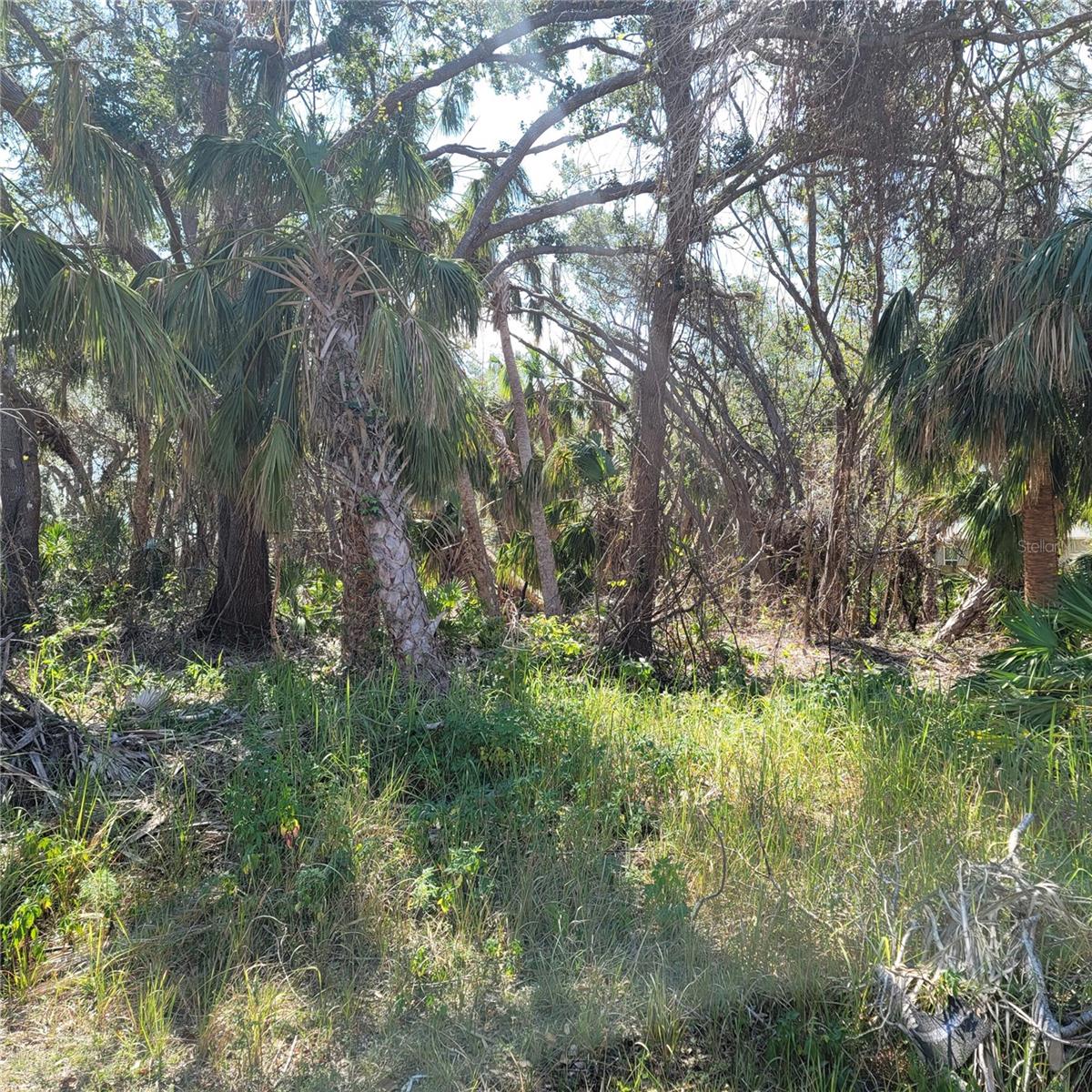 CARUSO LN, NORTH PORT, FL, 34287