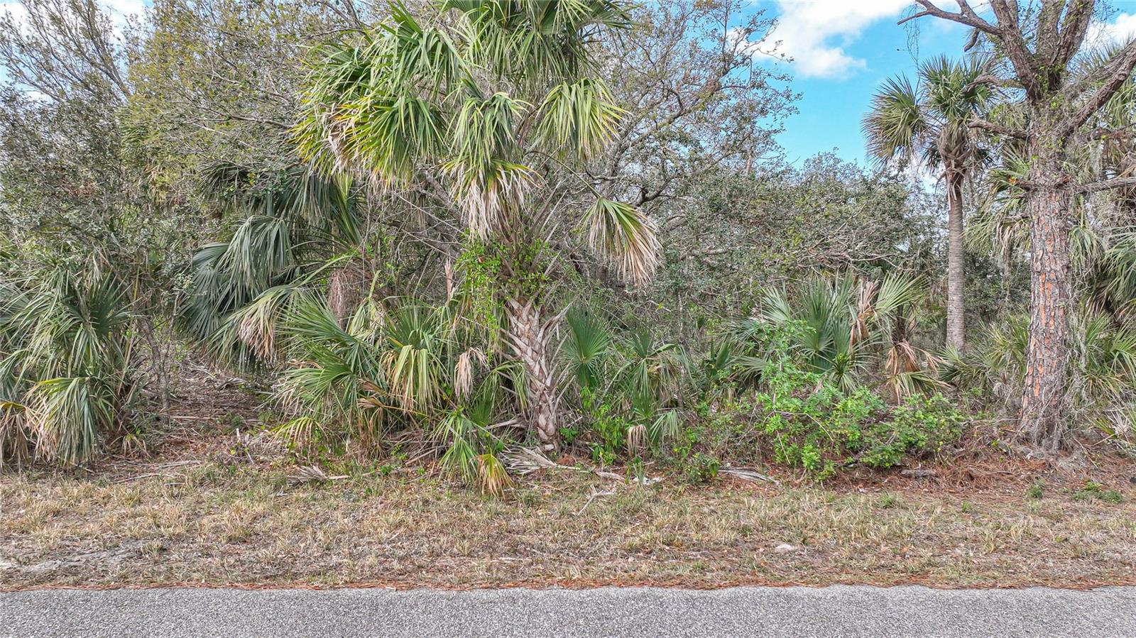 CARUSO LN, NORTH PORT, FL, 34287