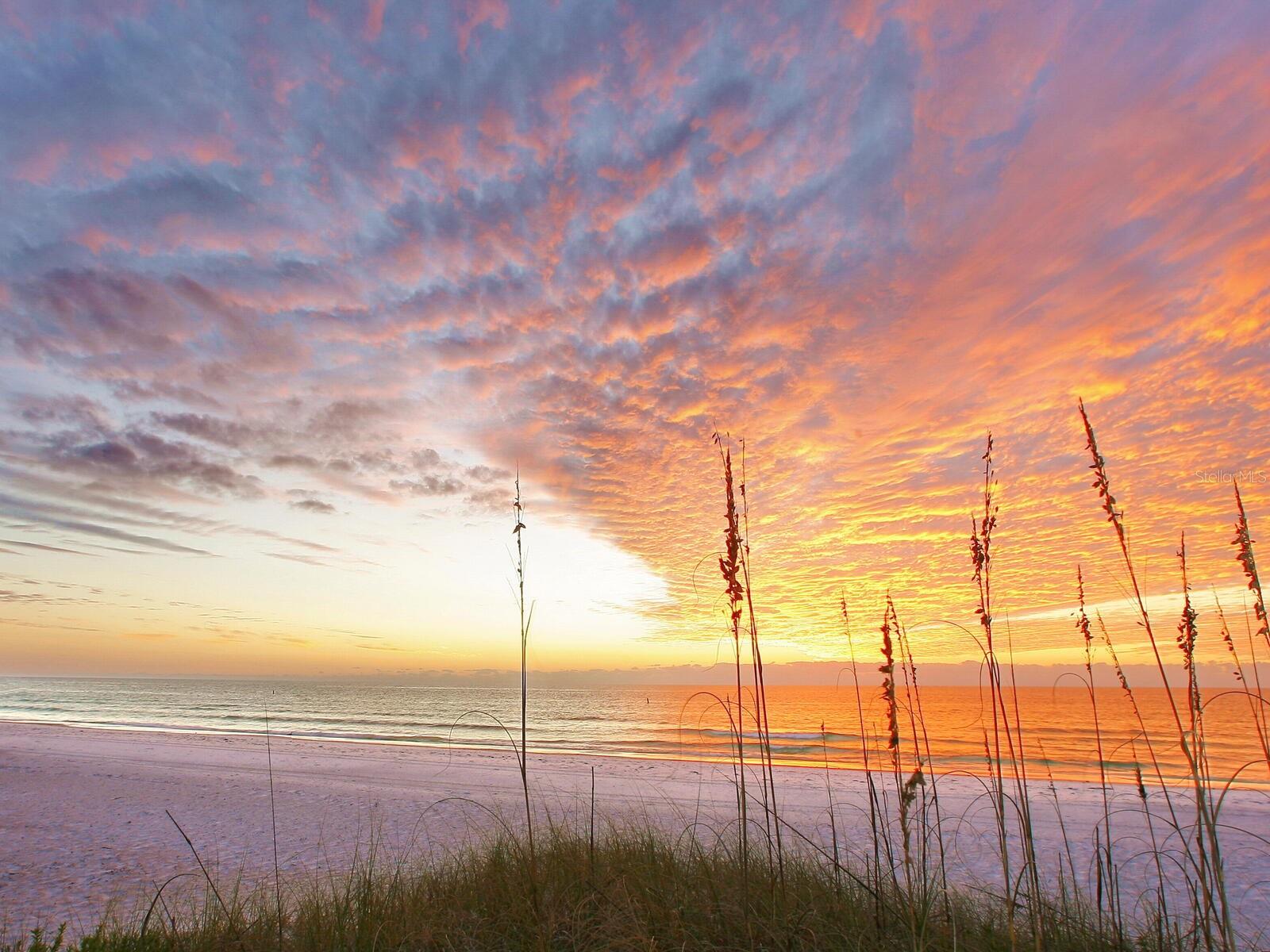 7247 TURNSTONE RD, SARASOTA, FL, 34242