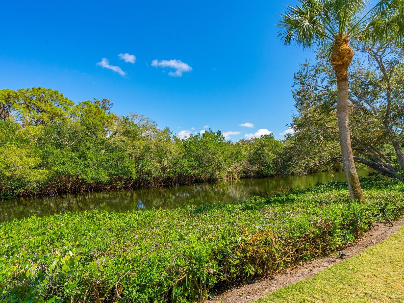 7247 TURNSTONE RD, SARASOTA, FL, 34242