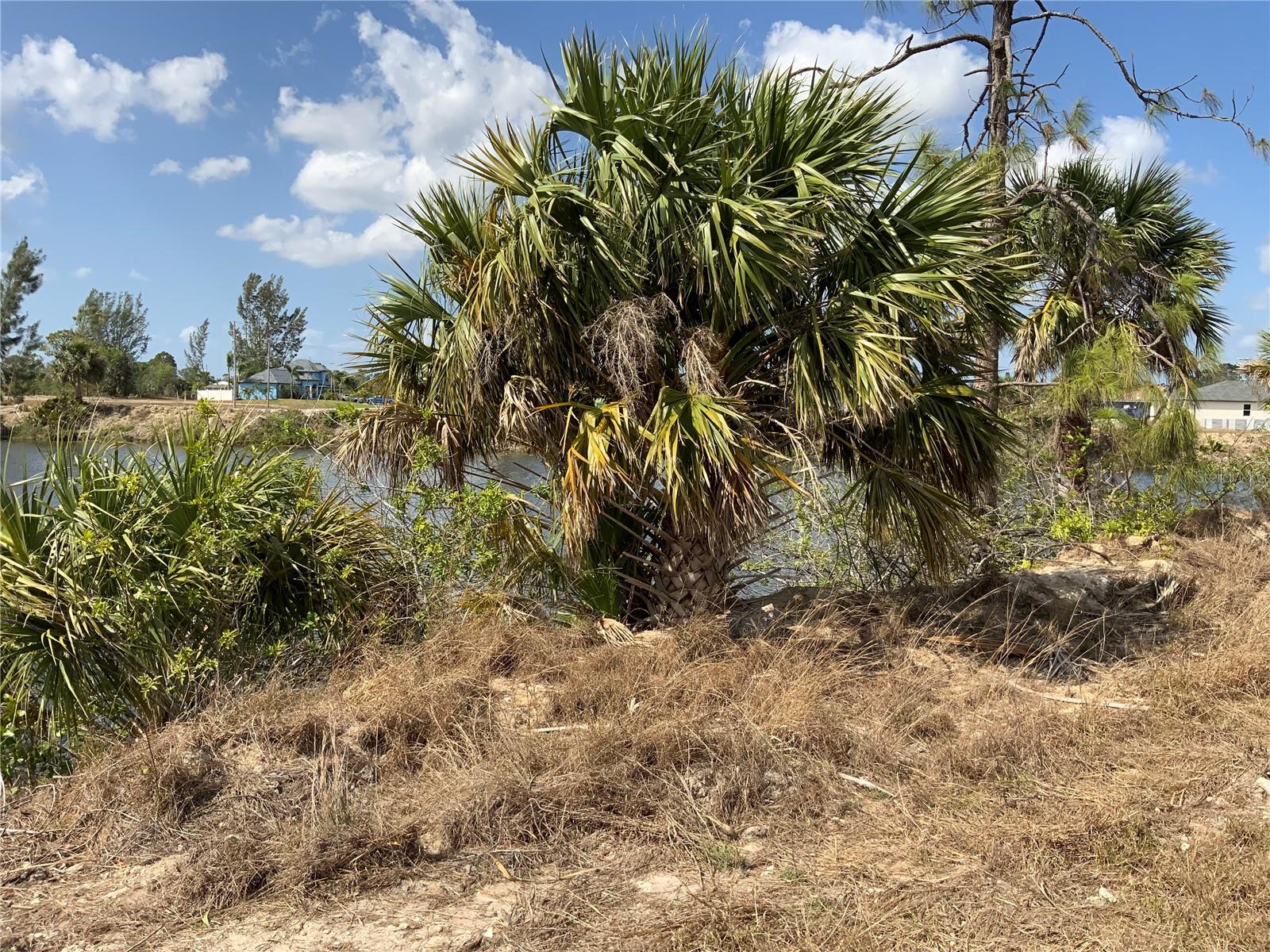 2113 NE 43RD LN, CAPE CORAL, FL, 33909