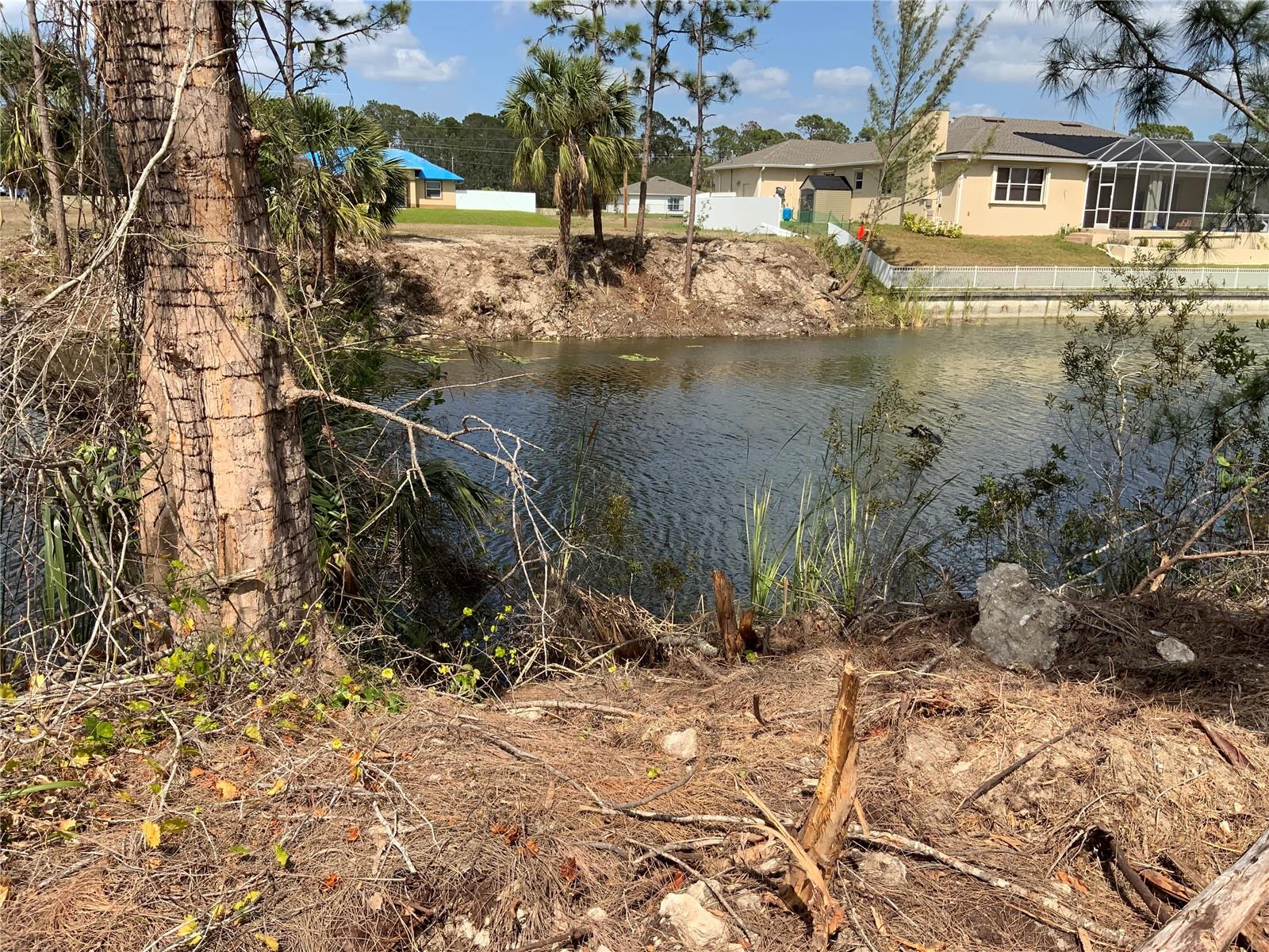 323 NE 31ST ST, CAPE CORAL, FL, 33909