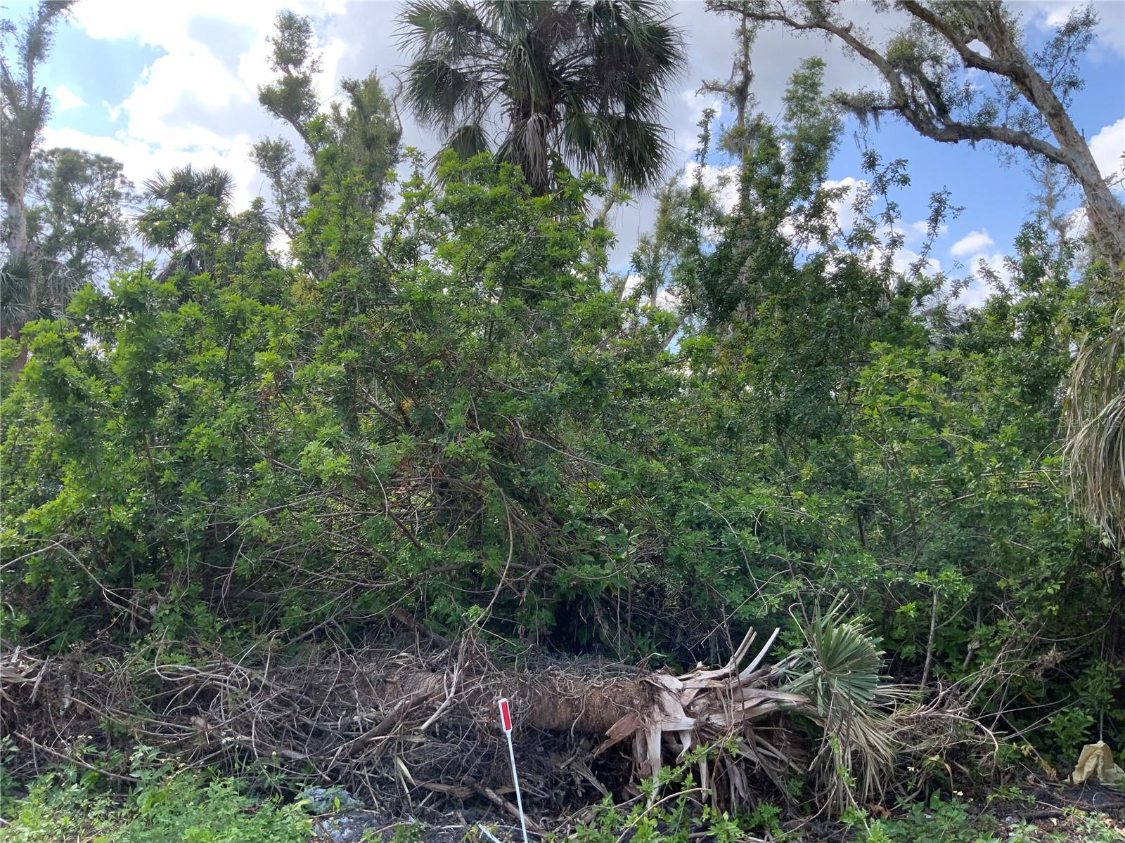 2271 WESTWOOD RD, NORTH FORT MYERS, FL, 33917