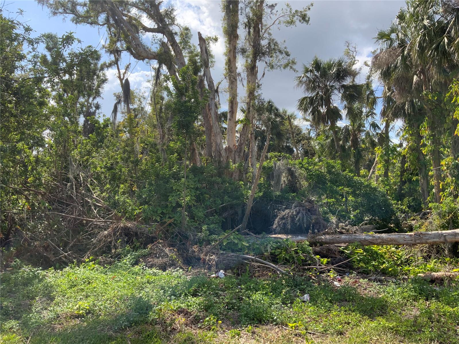 2271 WESTWOOD RD, NORTH FORT MYERS, FL, 33917