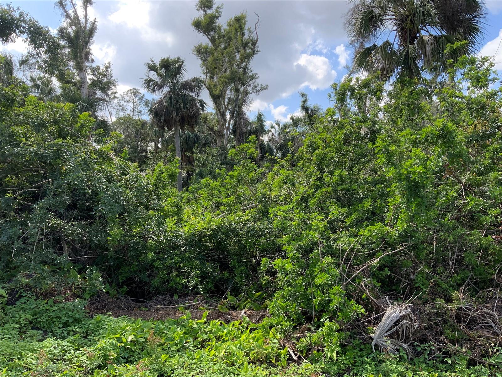 2271 WESTWOOD RD, NORTH FORT MYERS, FL, 33917