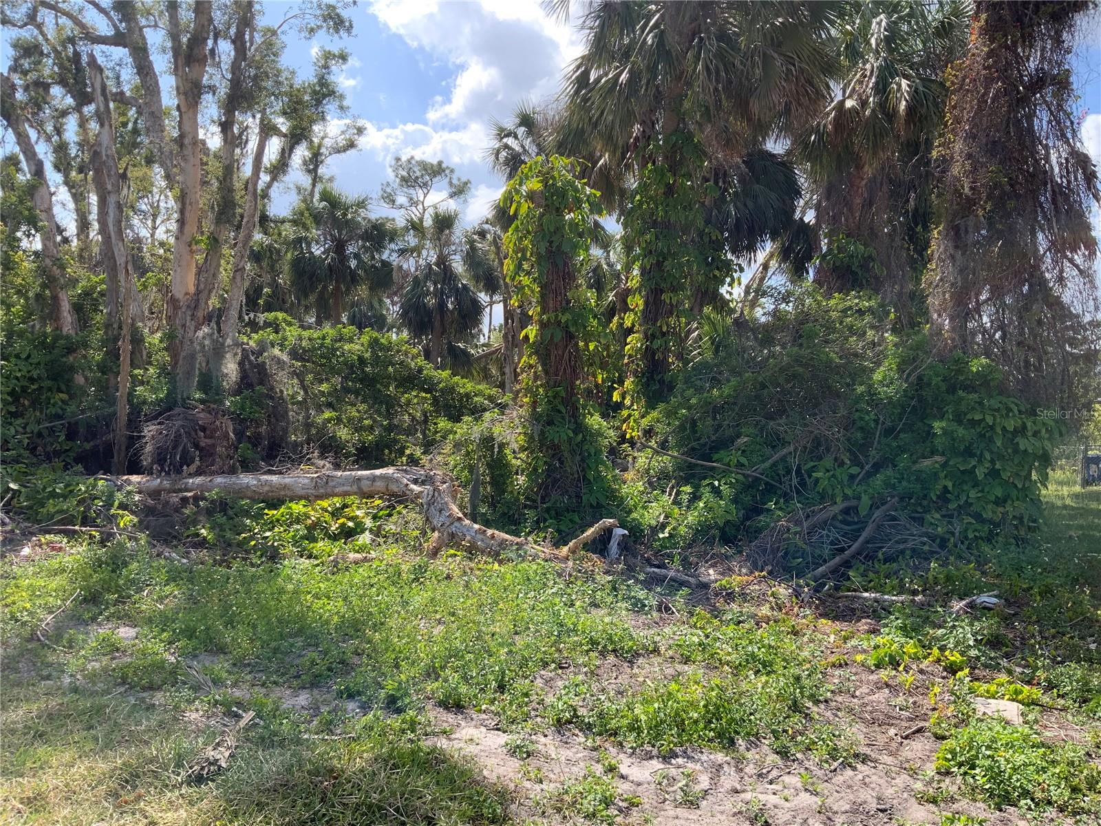 2271 WESTWOOD RD, NORTH FORT MYERS, FL, 33917