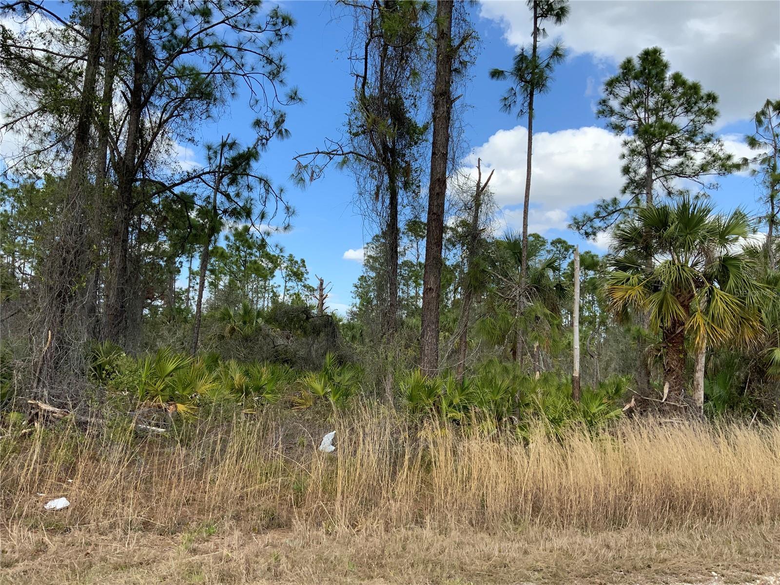 4219 E 30TH ST, ALVA, FL, 33920
