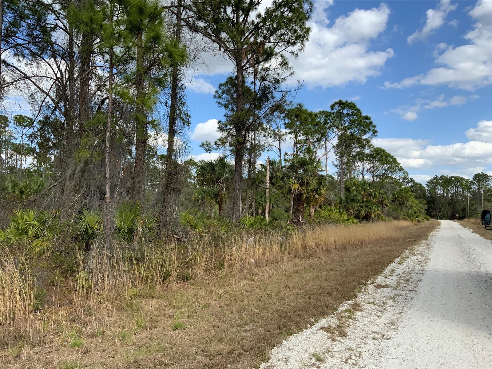 4219 E 30TH ST, ALVA, FL, 33920