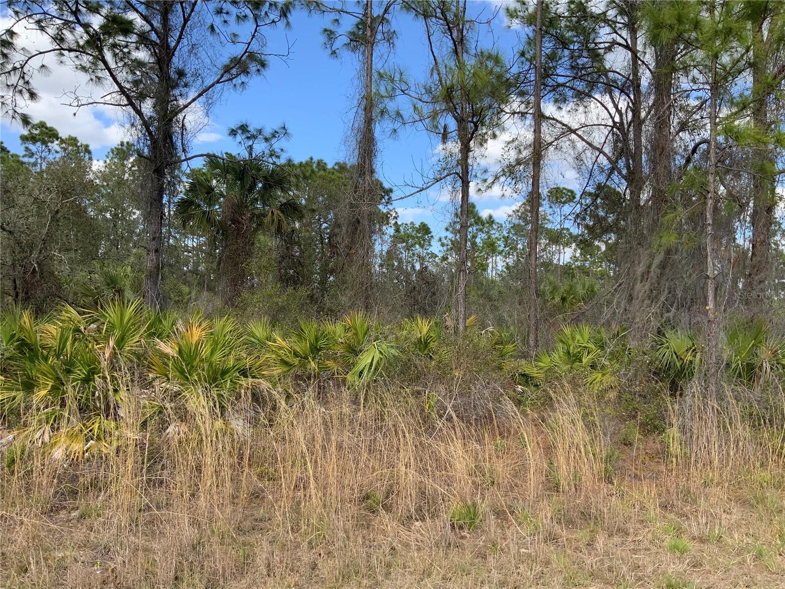 4219 E 30TH ST, ALVA, FL, 33920
