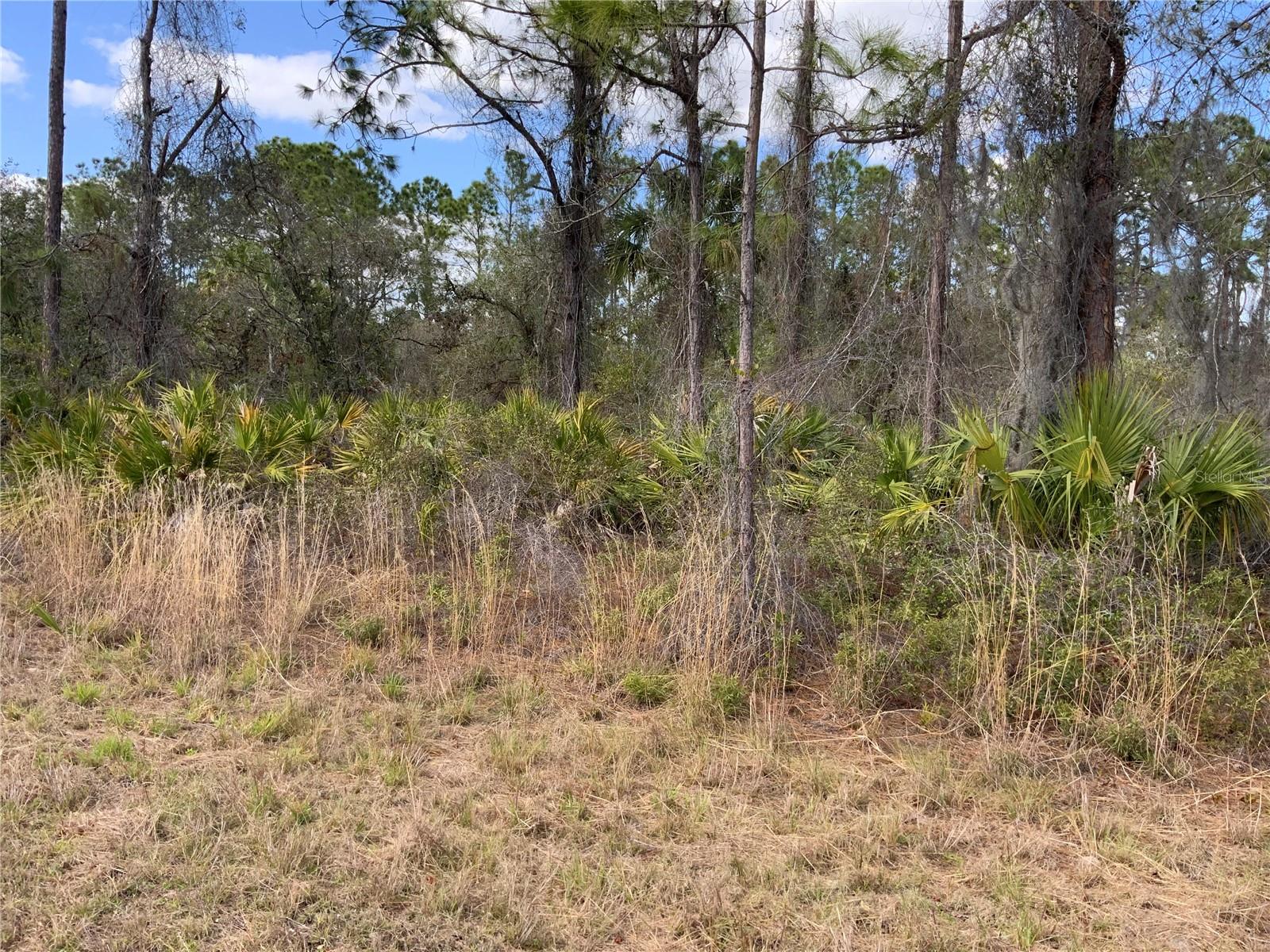 4219 E 30TH ST, ALVA, FL, 33920