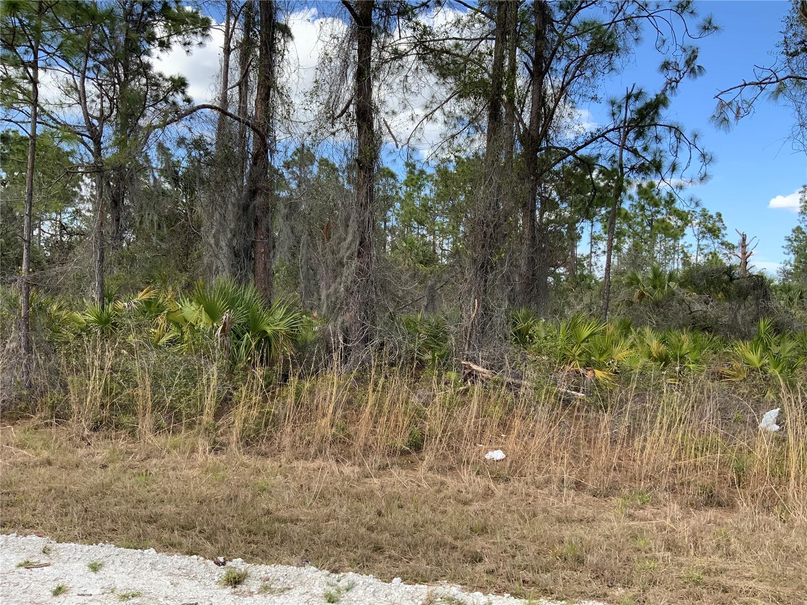 4219 E 30TH ST, ALVA, FL, 33920
