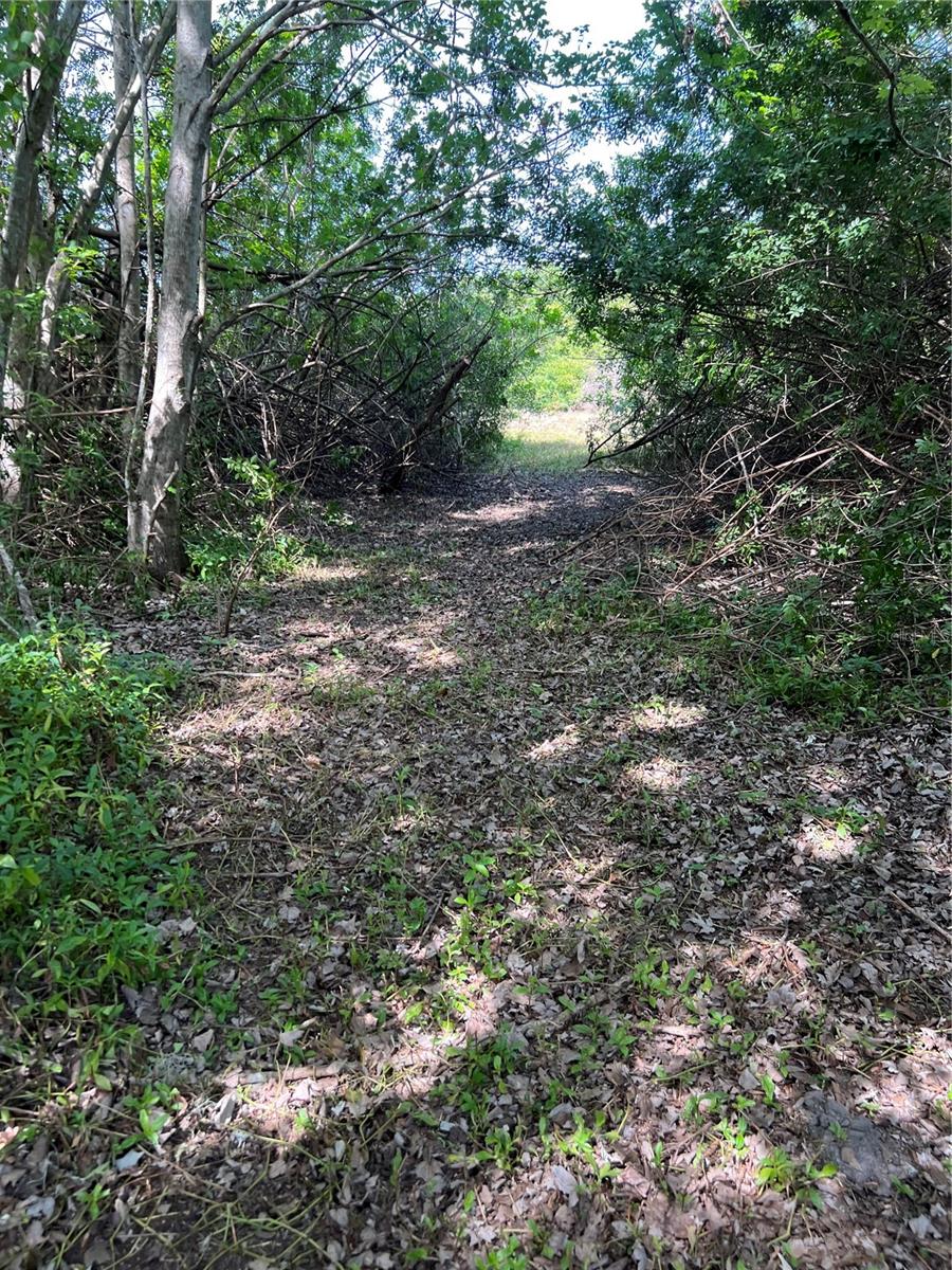 0 N HIGHLAND AVE, TARPON SPRINGS, FL, 34688