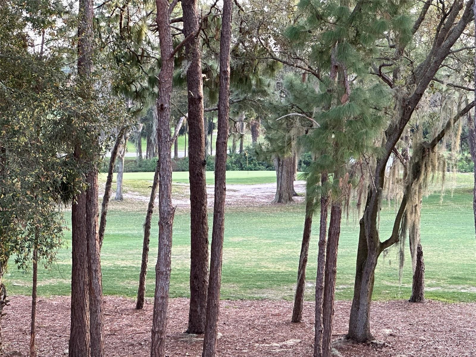 36750 US HIGHWAY 19 N #9-303, PALM HARBOR, FL, 34684