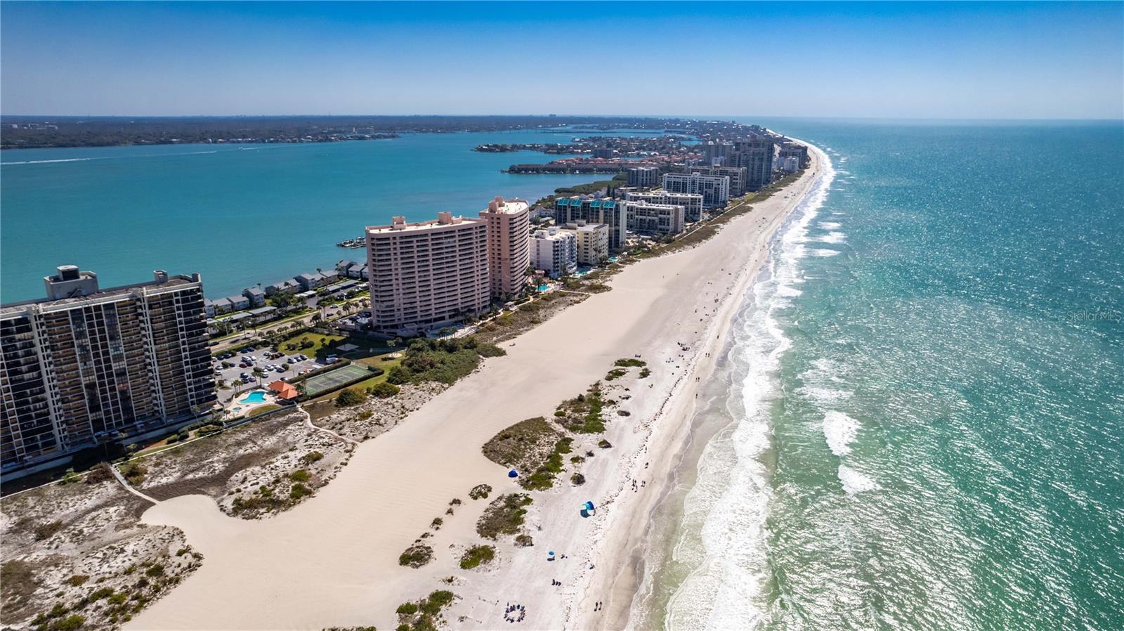 1250 GULF BLVD #703, CLEARWATER, FL, 33767