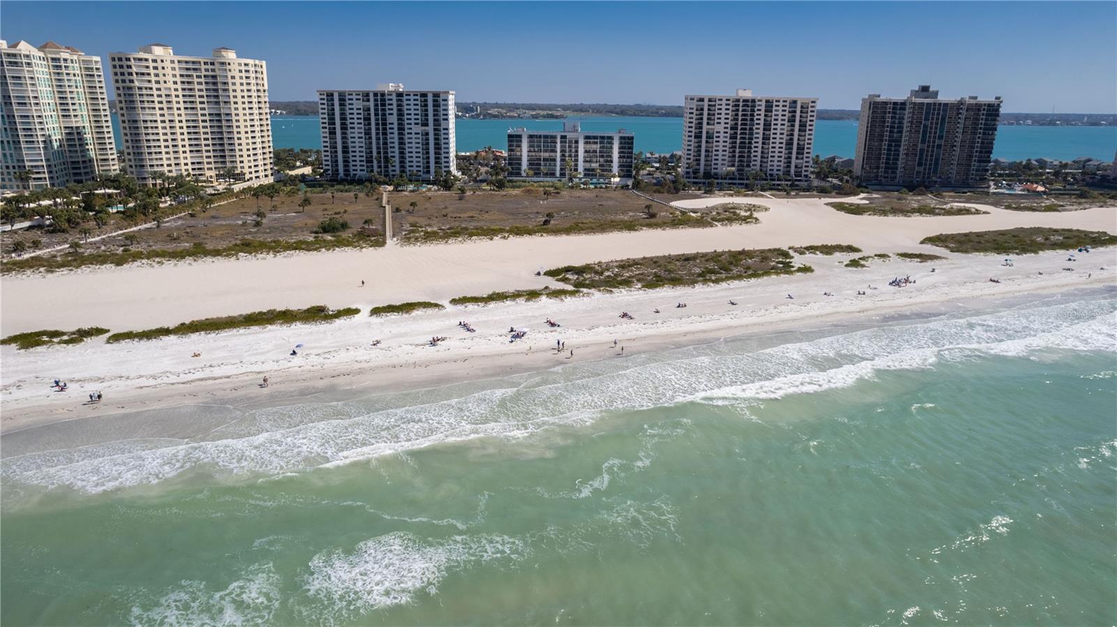 1250 GULF BLVD #703, CLEARWATER, FL, 33767