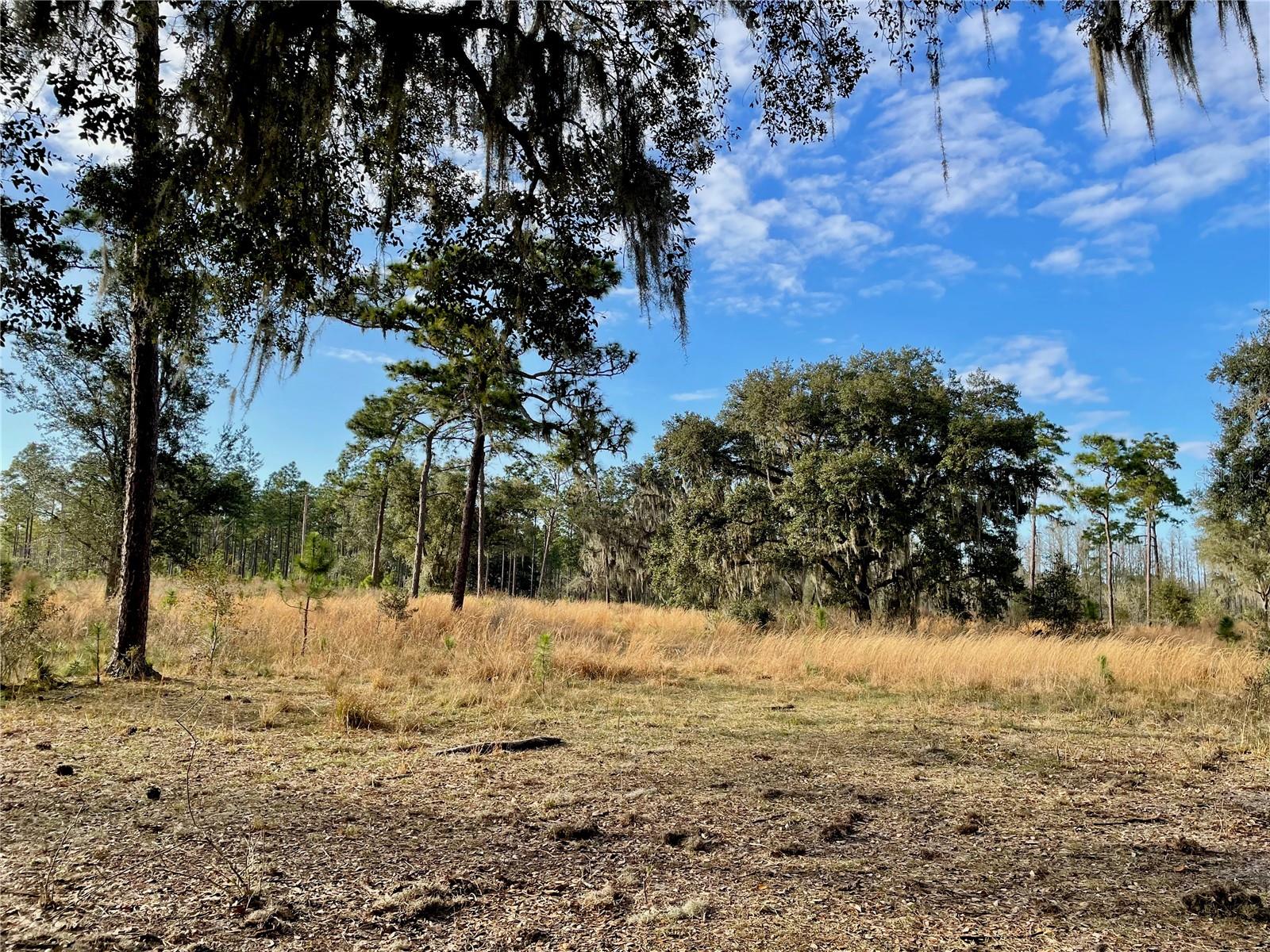 19858 STATE ROAD 52, LAND O LAKES, FL, 34637