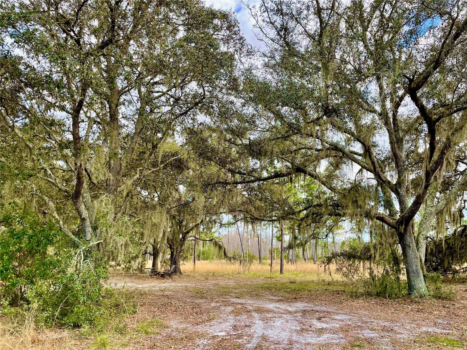 19858 STATE ROAD 52, LAND O LAKES, FL, 34637