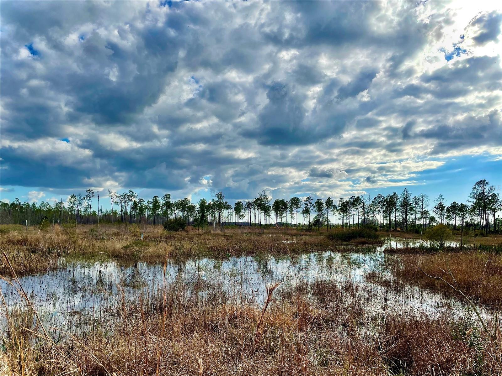 19858 STATE ROAD 52, LAND O LAKES, FL, 34637