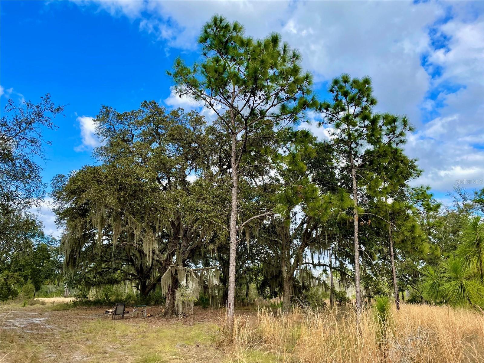 19858 STATE ROAD 52, LAND O LAKES, FL, 34637