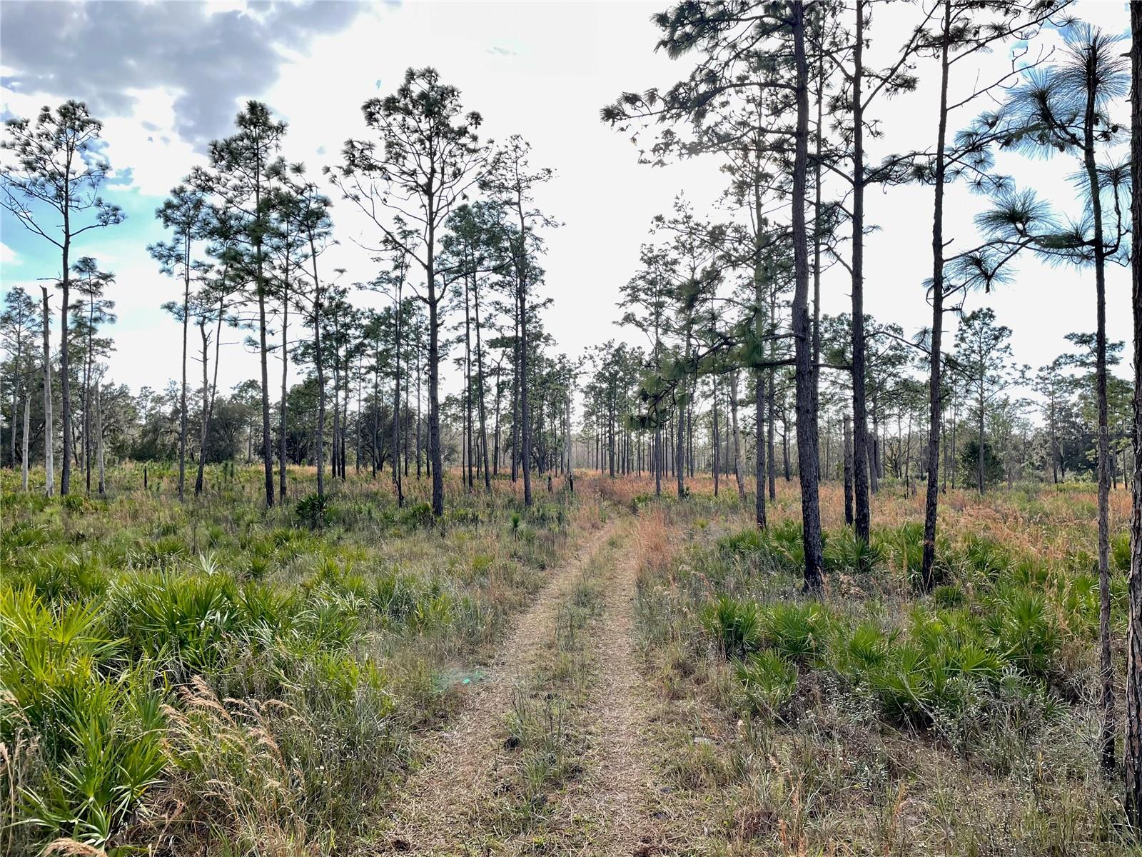 19858 STATE ROAD 52, LAND O LAKES, FL, 34637