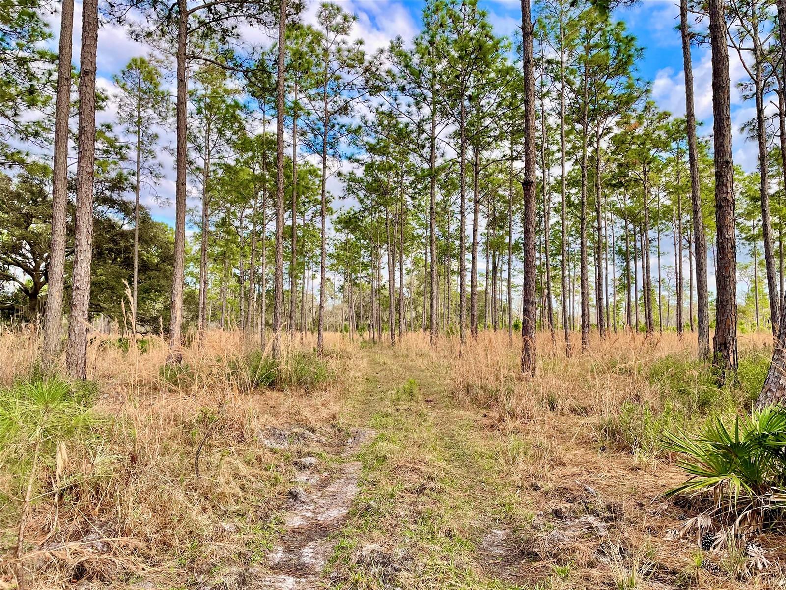 19858 STATE ROAD 52, LAND O LAKES, FL, 34637
