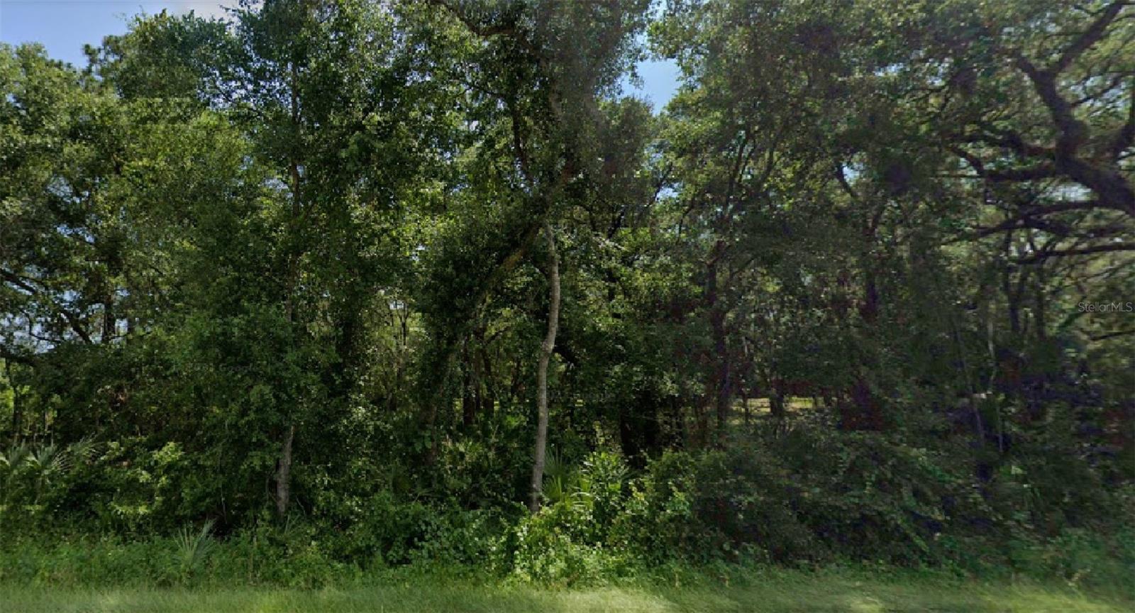 SE 66TH LN, OCKLAWAHA, FL, 32179