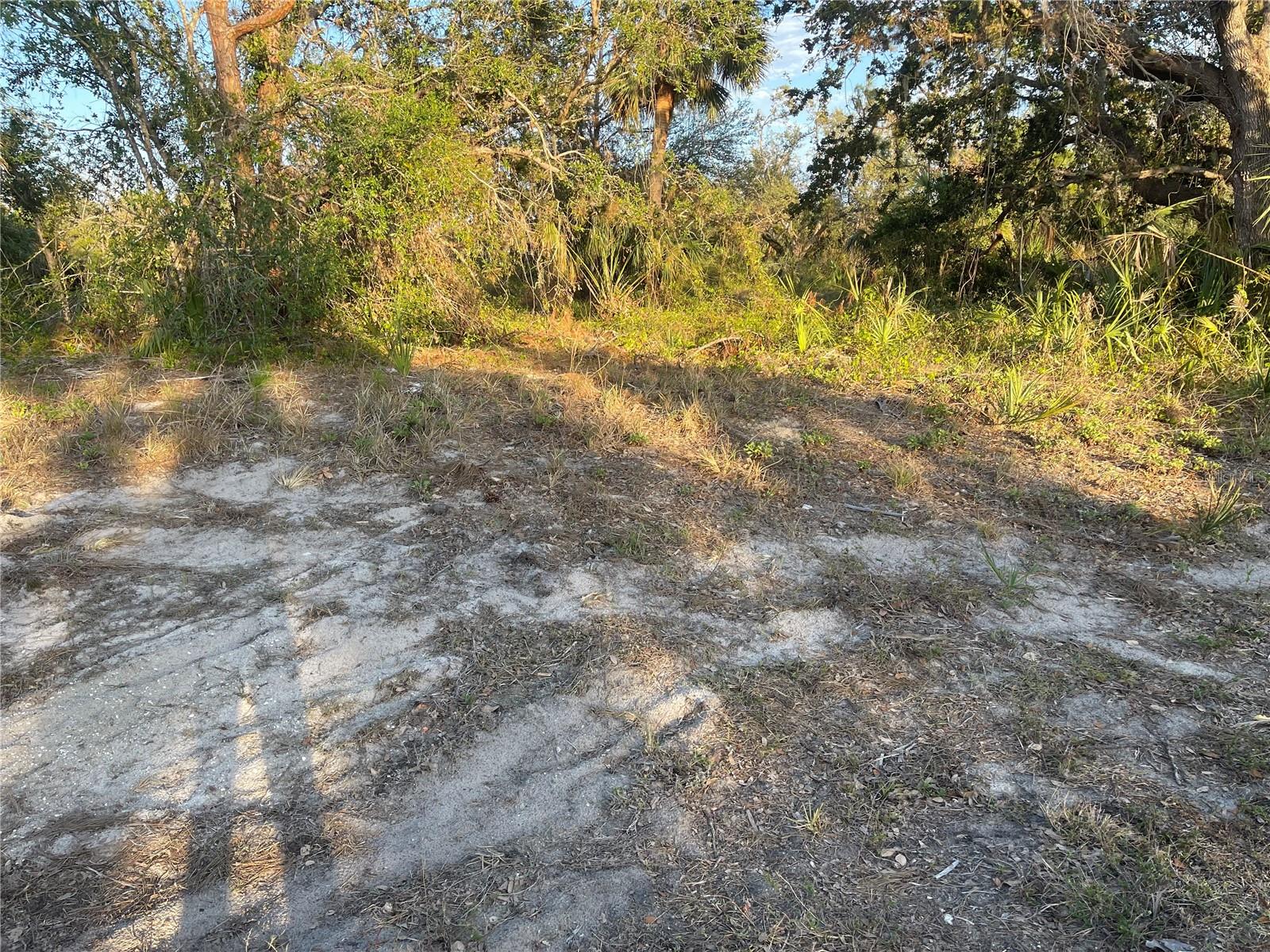 BAYNES RD, NORTH PORT, FL, 34288