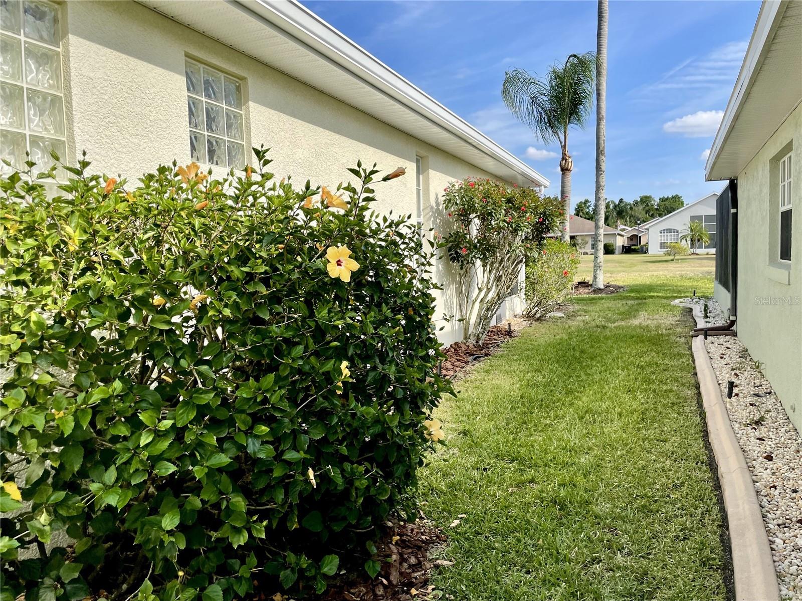 255 ROYAL PALM DR, DAVENPORT, FL, 33837