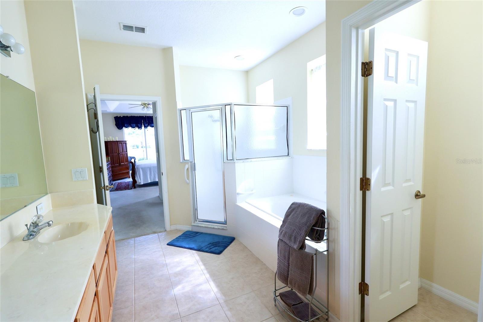 255 ROYAL PALM DR, DAVENPORT, FL, 33837
