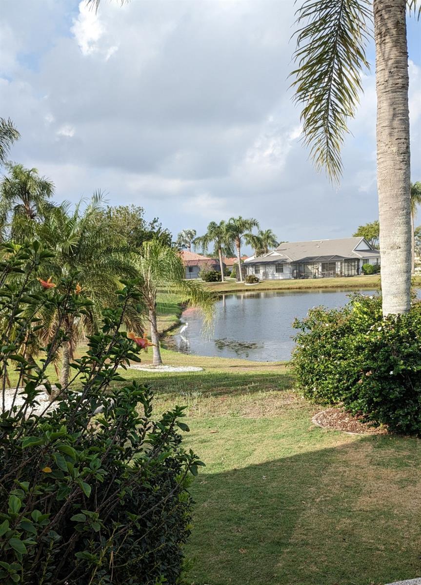 721 PLUMBROOK RD, SUN CITY CENTER, FL, 33573