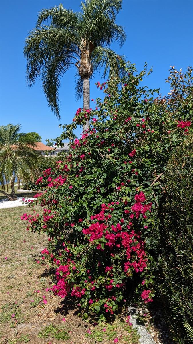 721 PLUMBROOK RD, SUN CITY CENTER, FL, 33573