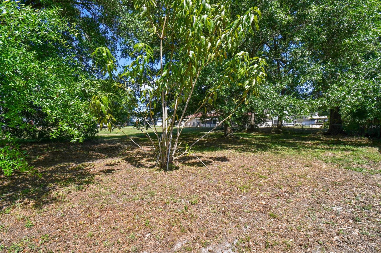 22364 SOUTHSHORE DR, LAND O LAKES, FL, 34639