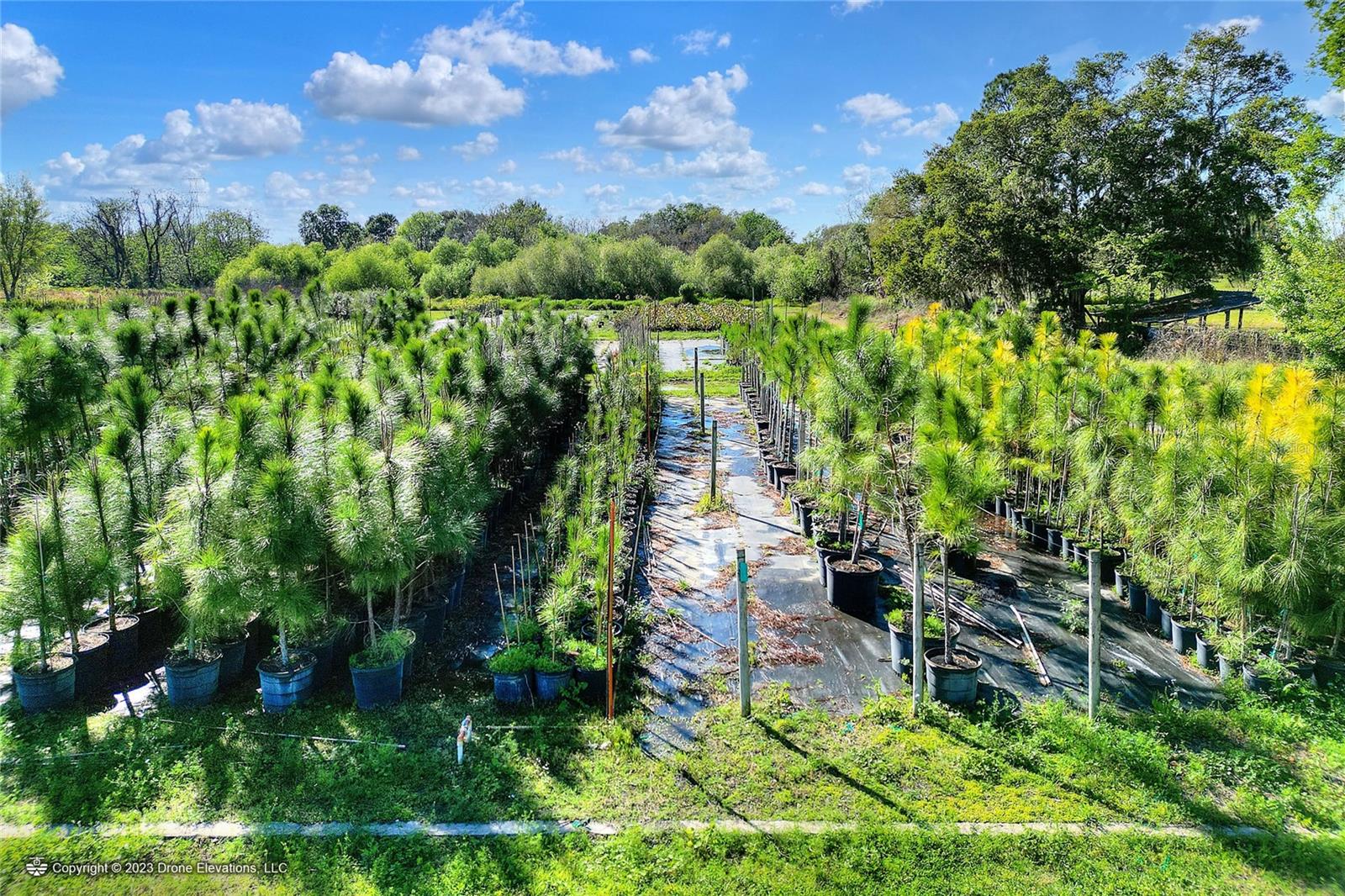 5119 KNIGHTS STATION RD, LAKELAND, FL, 33810