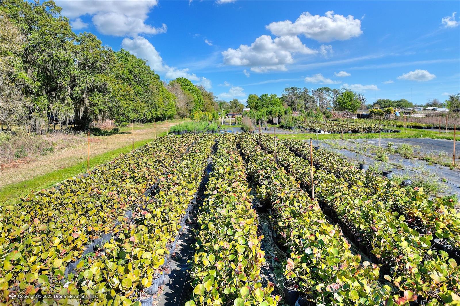 5119 KNIGHTS STATION RD, LAKELAND, FL, 33810