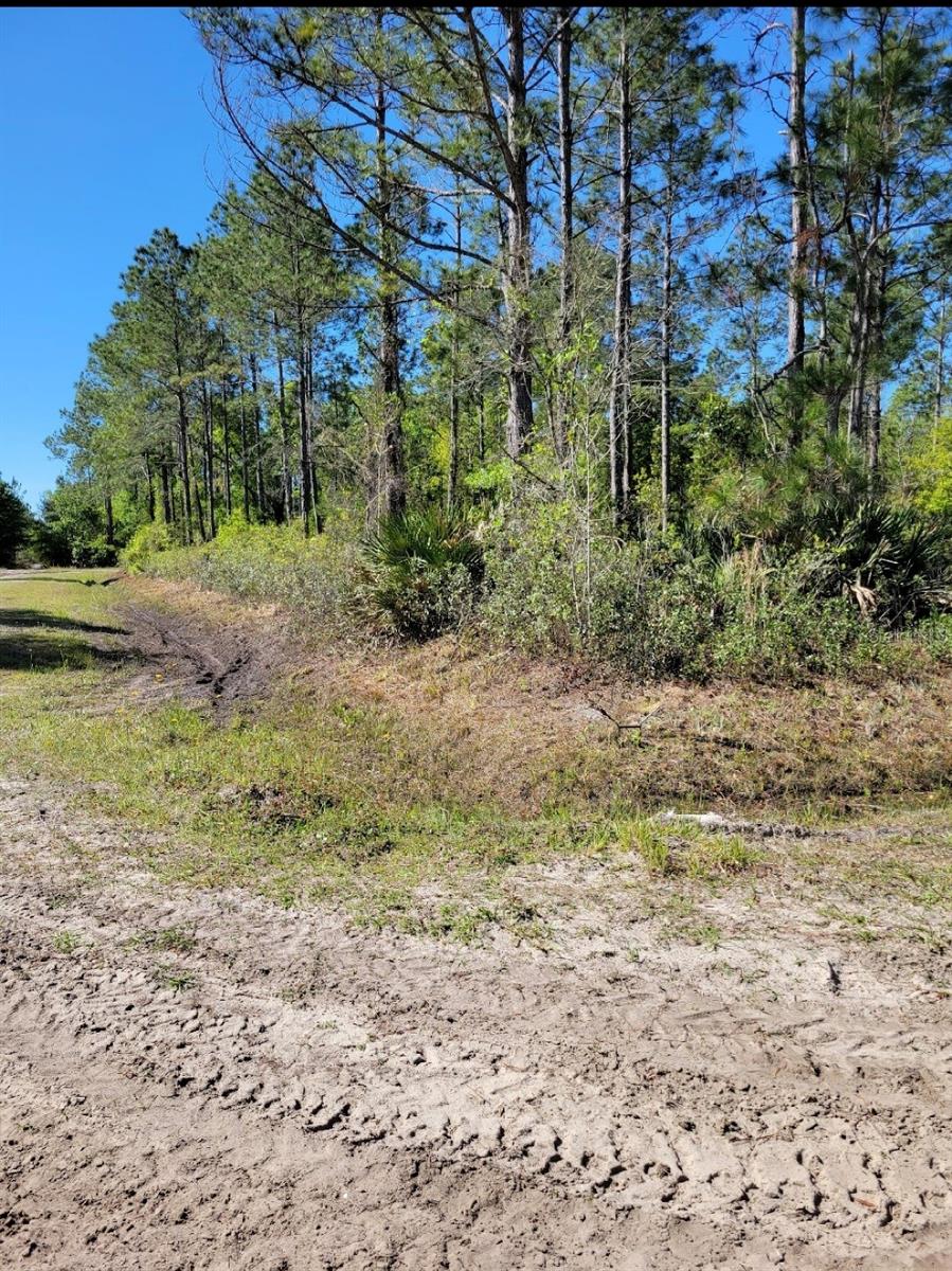 5105 JONATHAN ST, HASTINGS, FL, 32145