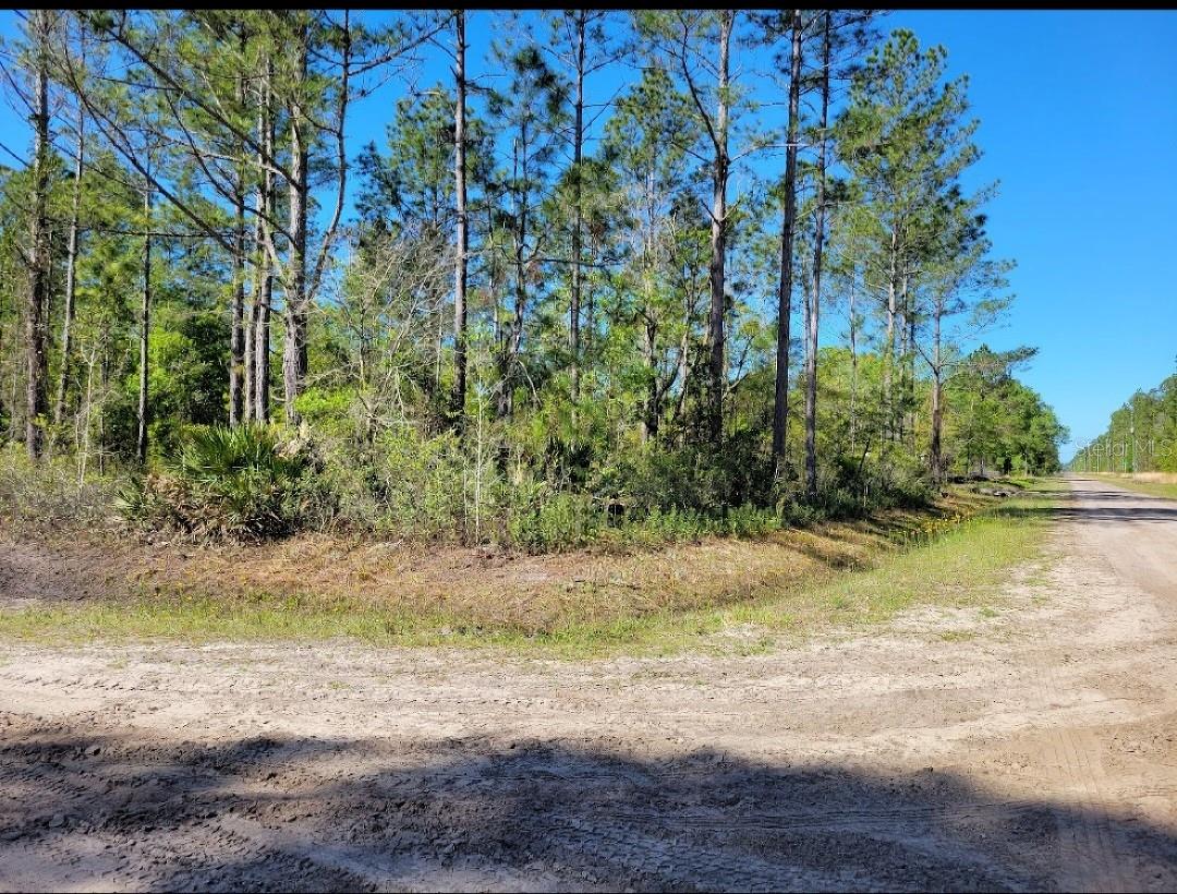 5105 JONATHAN ST, HASTINGS, FL, 32145